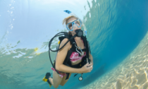dive1-300x200