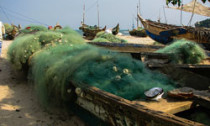 fish_net_160613