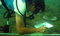 reef-check_240613