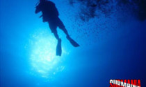 submania_dive-cent