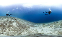 caribbean-coral_020813