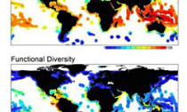 map_300913