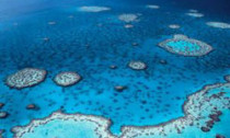 reef_301013