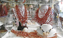 coral-jewelery