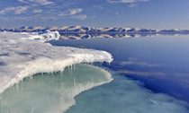 arctic_300114