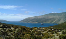 nz_030314