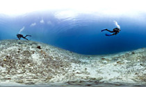 caribbean_020714