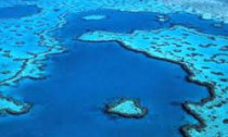 gbr_111114