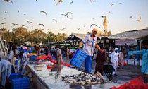 saudi_161015