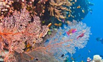 gbr_180316