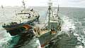 Esperanza_whaler_140106