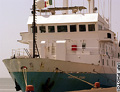 MauriceEwing_03032005