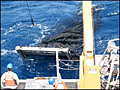 OceanTrawl_050506
