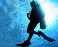 ScubaDiver_260206