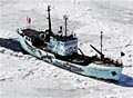 Whaling%20collision_220207