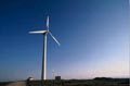 Wind_power_16022005