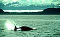 alaska_200104