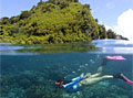 apo_island_010906
