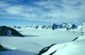 arctic_17022005