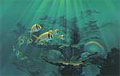 atlantic-reef_310809