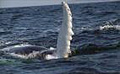 atlantic_160307