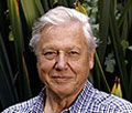 attenborough_151005