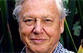 attenborough_260111