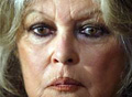bardot_240306