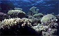 barrierreef_180805
