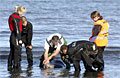 beach-rescue_061007