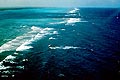 belize_reef_010805