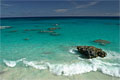 bermuda_060210