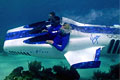 branson-seaplane