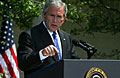bush_020607