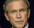 bush_251204