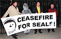 ceasefire_181208