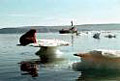 climate_change_150406