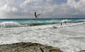 coast_100409