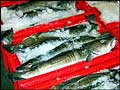 cod_191203