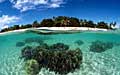 coral-reef_150703