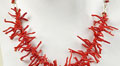 coral_240708