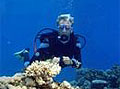 crabbe_061206