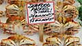 crabs_140611