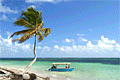cuba_010711