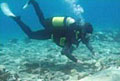 diver_201009