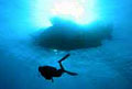 diver_210906