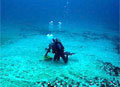 diver_300312