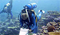 divers_010308