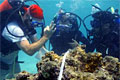 divers_010508