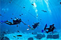 divers_140112